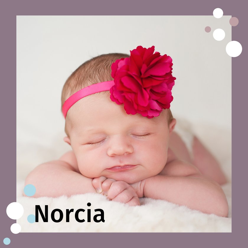Name Norcia