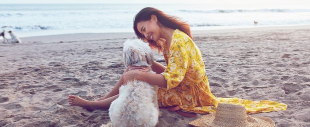 Familien mit Kleikindern: Diese Hunde passen zu euch