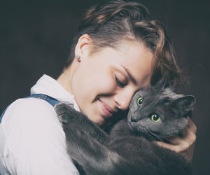 Katzen für Allergiker: Diese 7 hypoallergenen Katzen solltet ihr kennen