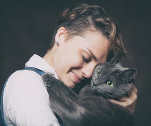 Katzen für Allergiker: Diese 7 hypoallergenen Katzen solltet ihr kennen