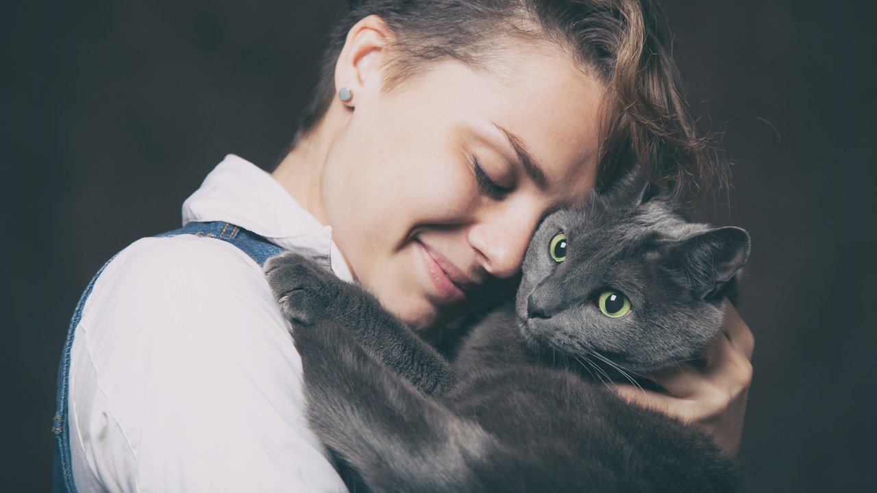 Katzen für Allergiker zum Kuscheln ohne Niesen