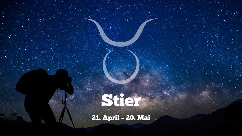 Stier