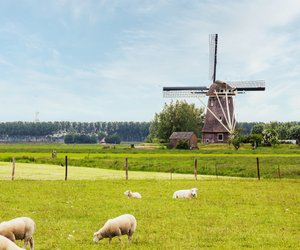 Holland und Niederlande – Was ist der Unterschied?
