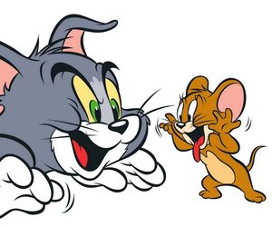 Kinderserien: Von Tom und Jerry, Biene Maja und den Power Rangern