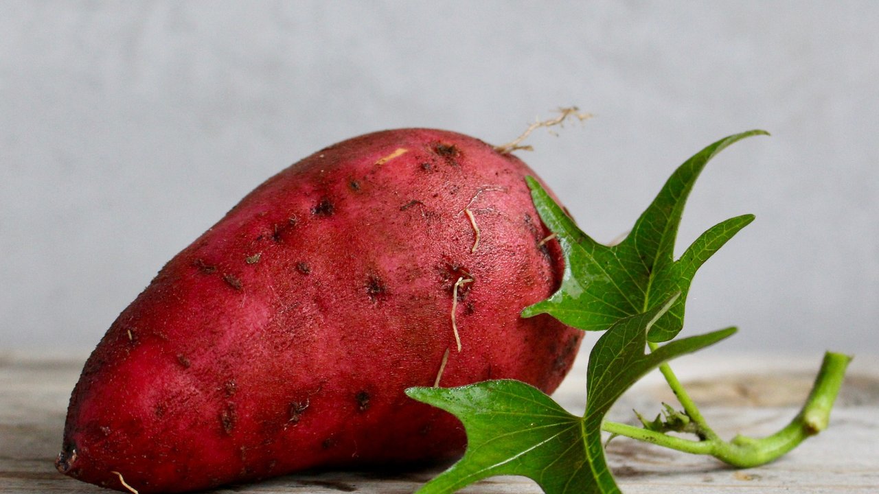 Süßkartoffeln sind eine gesunde Alternative zur normalen Kartoffel.