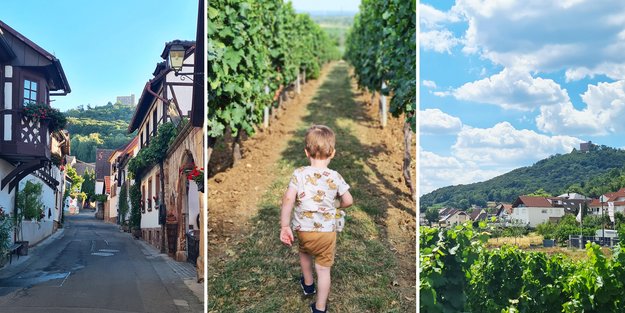 9 Gründe, warum die Pfalz ein perfektes Ziel für euren Familien-Sommer­urlaub ist