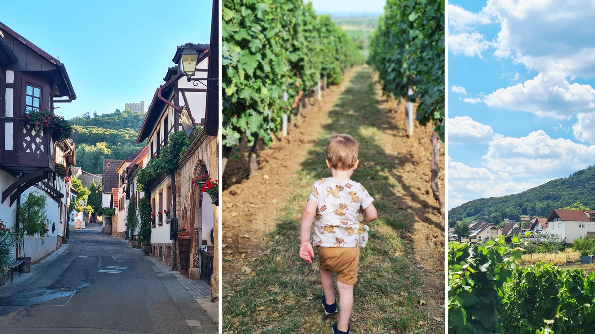 Familienurlaub in der Pfalz 9 Gründe, die dafür sprechen