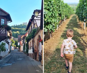 9 Gründe, warum die Pfalz das perfekte Ziel für einen Familienurlaub ist