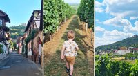 Sommer in der Pfalz: 9 Gründe für einen Familienurlaub in der schönen Region