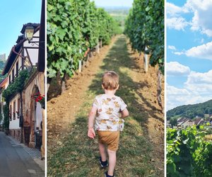 Sommer in der Pfalz: 9 Gründe für einen Familienurlaub in der Region