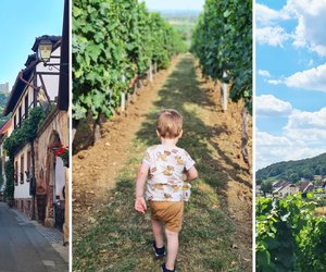 9 Gründe, warum die Pfalz ein perfektes Ziel für euren Familien-Sommer­urlaub ist