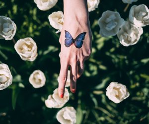 Schmetterling-Tattoo mit Wow-Effekt: 18 Motiv-Ideen, die deine Fantasie beflügeln