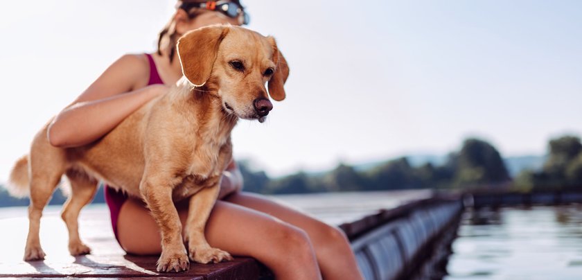 Ein kleiner Hund und ein Mädchen sitzen am See im Sommer