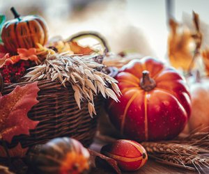 Diese 4 Bonprix-Deko-Kürbisse bringen Herbstzauber in deine Räume