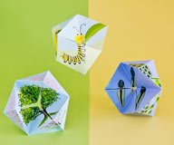 Flextangle: Bastelanleitung und Vorlage zum Ausdrucken für das Papierspielzeug