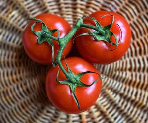 Vorsicht: Dieses Gemüse gehört nicht in die Nähe von Tomaten