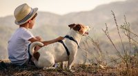 Kinderserien mit Hunden: Spannende Abenteuer für Kids