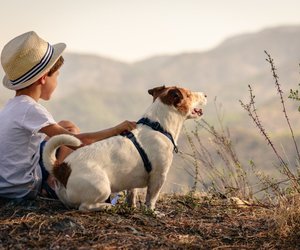Kinderserien mit Hunden: Spannende Abenteuer für Kids
