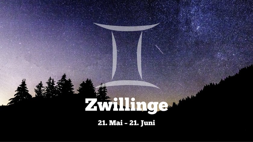 Zwillinge