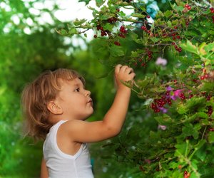 Gartenarbeit im August: 5 Ideen, wie unsere Kinder draußen mit anpacken können