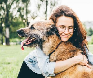 Anhänglich: Diesen Hunden ist es wichtig, euch nahe zu sein