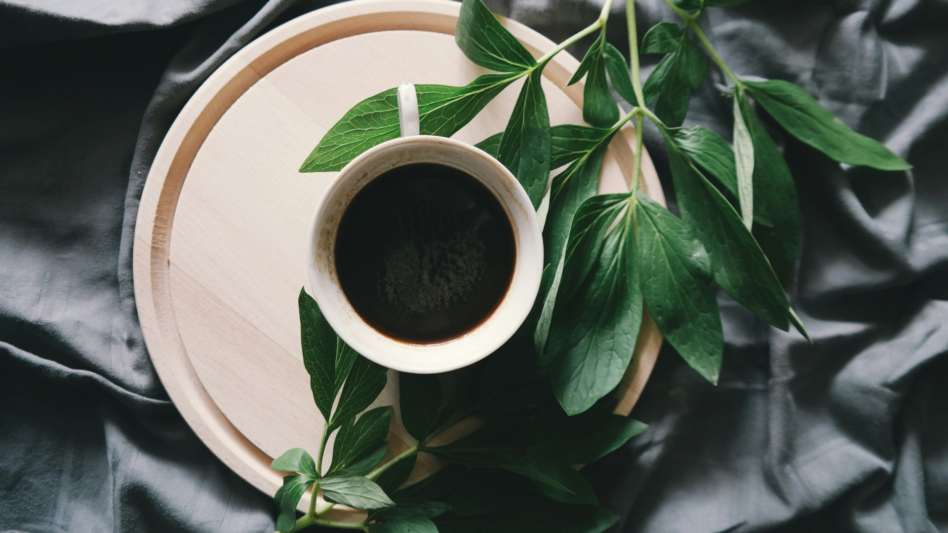 Kaffeesatz als Dnger? Bei diesen Pflanzen ist Vorsicht geboten