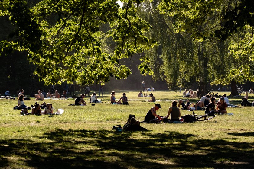 Am Ufer der Spree im Treptower Park lässt es sich gut picknicken.