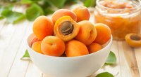 Aprikose fürs Baby: Eine tolle milde Frucht 