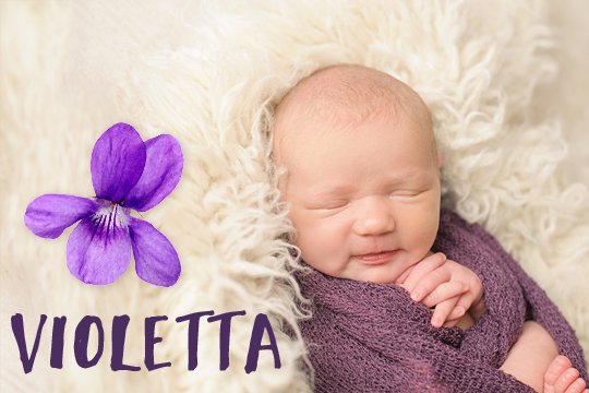 Blumige Mädchennamen: Violetta