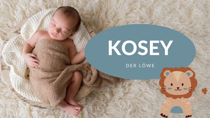 #15 Vornamen, die „Löwe" bedeuten: Kosey