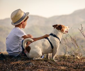Kinderserien mit Hunden: Spannende Abenteuer für Kids