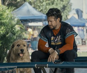 Mark Walberg geht im Film "Arthur der Große" an seine Grenzen & kommt auf den Hund
