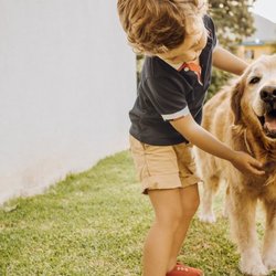 Kinderfilme mit Hunden: Mit Herz und Schnauze