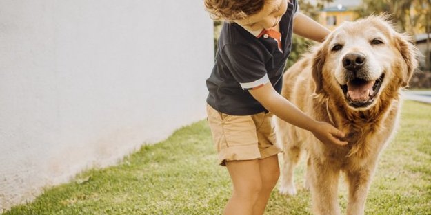 Kinderfilme mit Hunden: Mit Herz und Schnauze