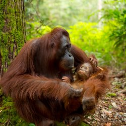 Unser XXL-Tierquiz: Wie viel weißt du über die Welt der Tiere?