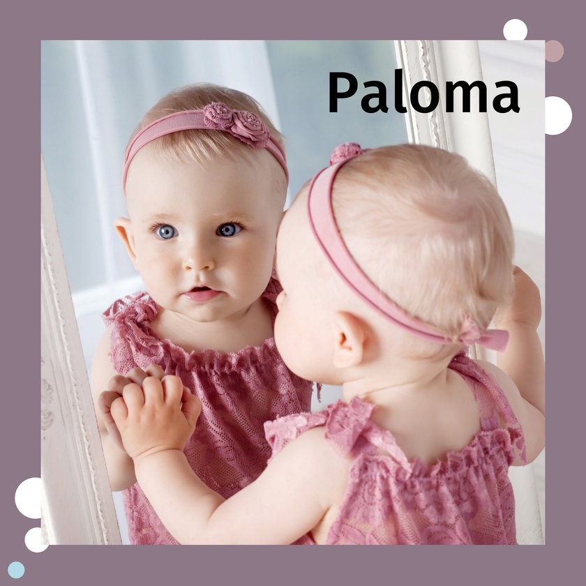 Name Paloma