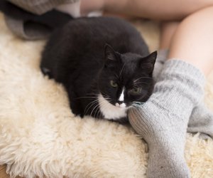 Diese weiße Kunstfellteppich von Ernsting's family peppt euer Schlafzimmer auf