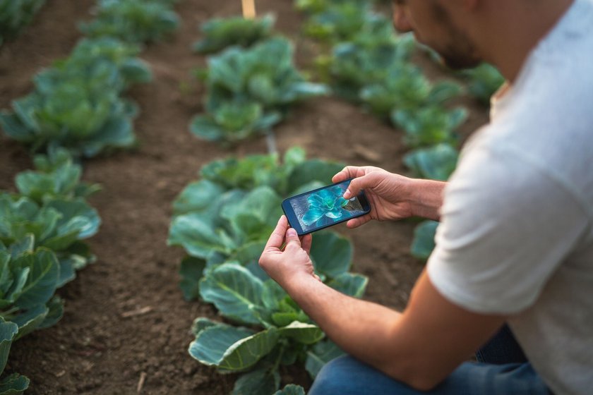 Apps Gartenarbeit