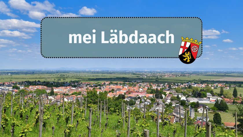 mei Läbdaach