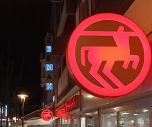 Beschäftigung für deinen Stubentiger: Die Schleckmatte für Katzen von Rossmann