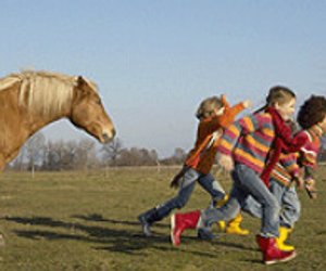 Betreute Kinderferien auf dem Ponyhof
