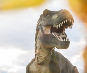Jetzt bei Amazon: Diese Dinosaurier-Zelte sind perfekt für kleine Abenteurer