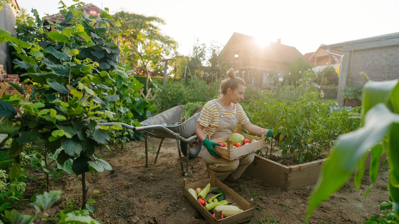 Photo of a young woman in her organic garden