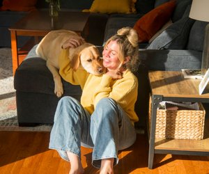 Saubere Kleidung trotz Vierbeiner – 6 einfache Tipps gegen Hundehaare