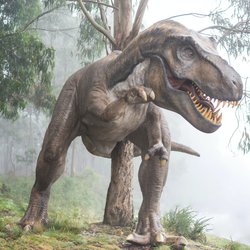 Faszinierend: So könnte der Tyrannosaurus Rex wirklich ausgesehen haben