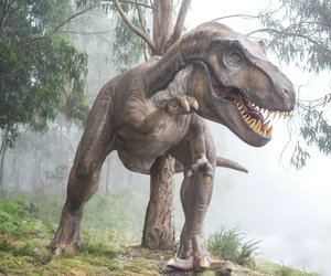 Faszinierend: So könnte der Tyrannosaurus Rex wirklich ausgesehen haben