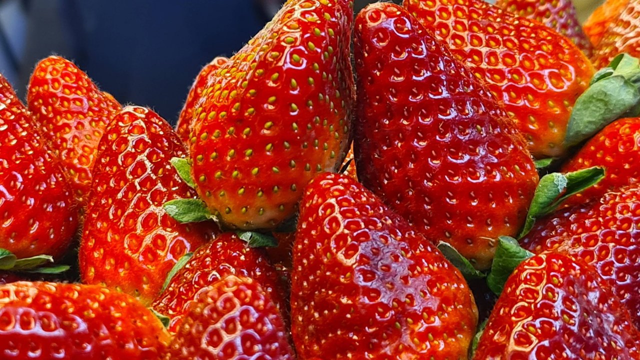 Erdbeeren&#x20;sind&#x20;anf&#x00E4;llig&#x20;f&#x00FC;r&#x20;Schimmel