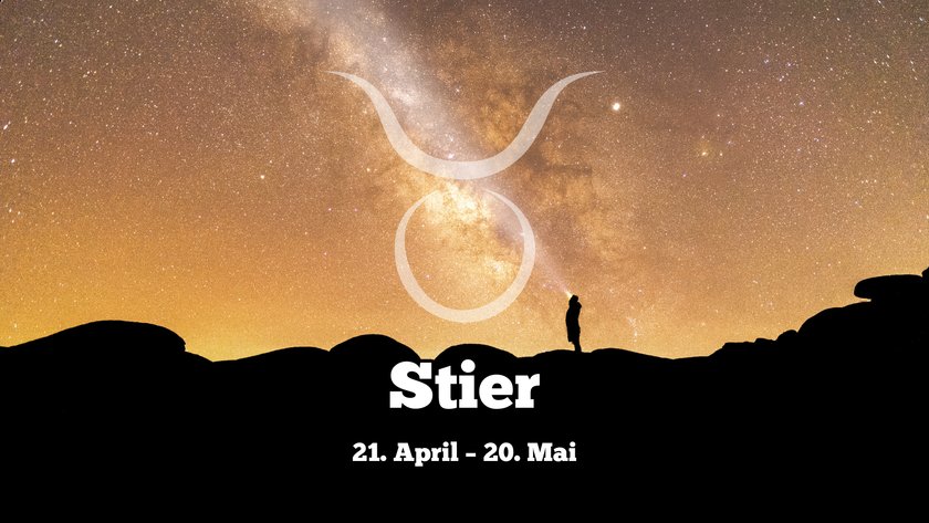 Stier