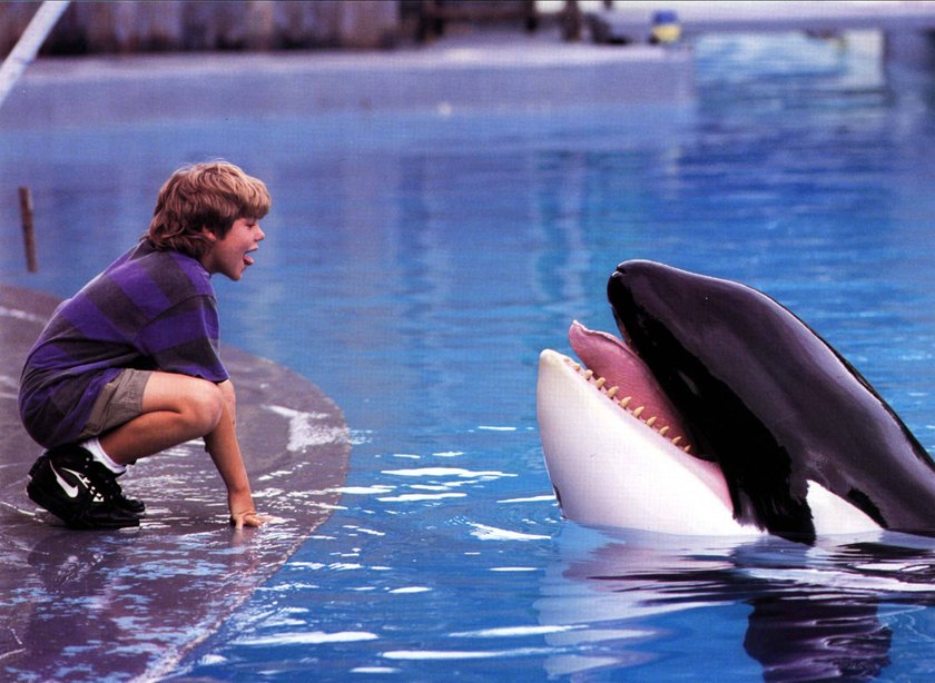 Free willy Film