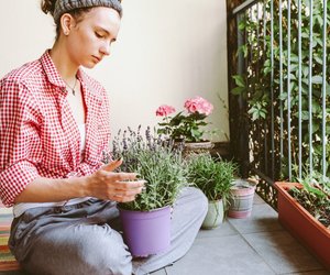 Diese 3 Pflanzen könnt ihr noch im März auf dem Balkon anpflanzen